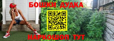 кокс Кингисепп