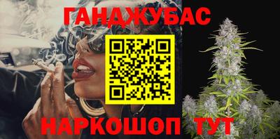 кокс Кингисепп