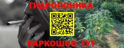 кокс Кингисепп