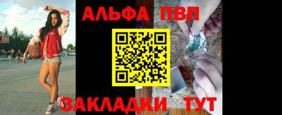 кокс Кингисепп